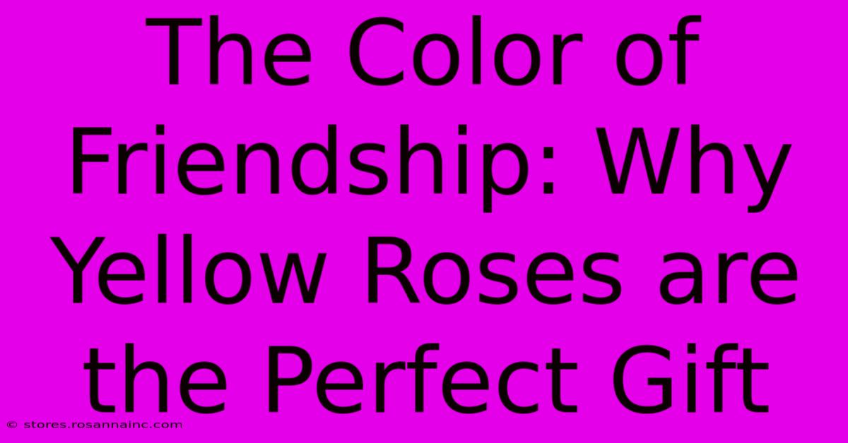 The Color Of Friendship: Why Yellow Roses Are The Perfect Gift