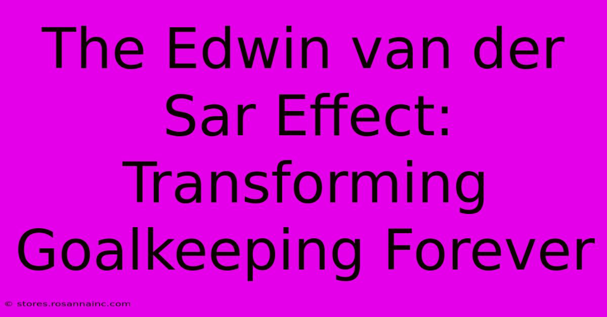 The Edwin Van Der Sar Effect: Transforming Goalkeeping Forever