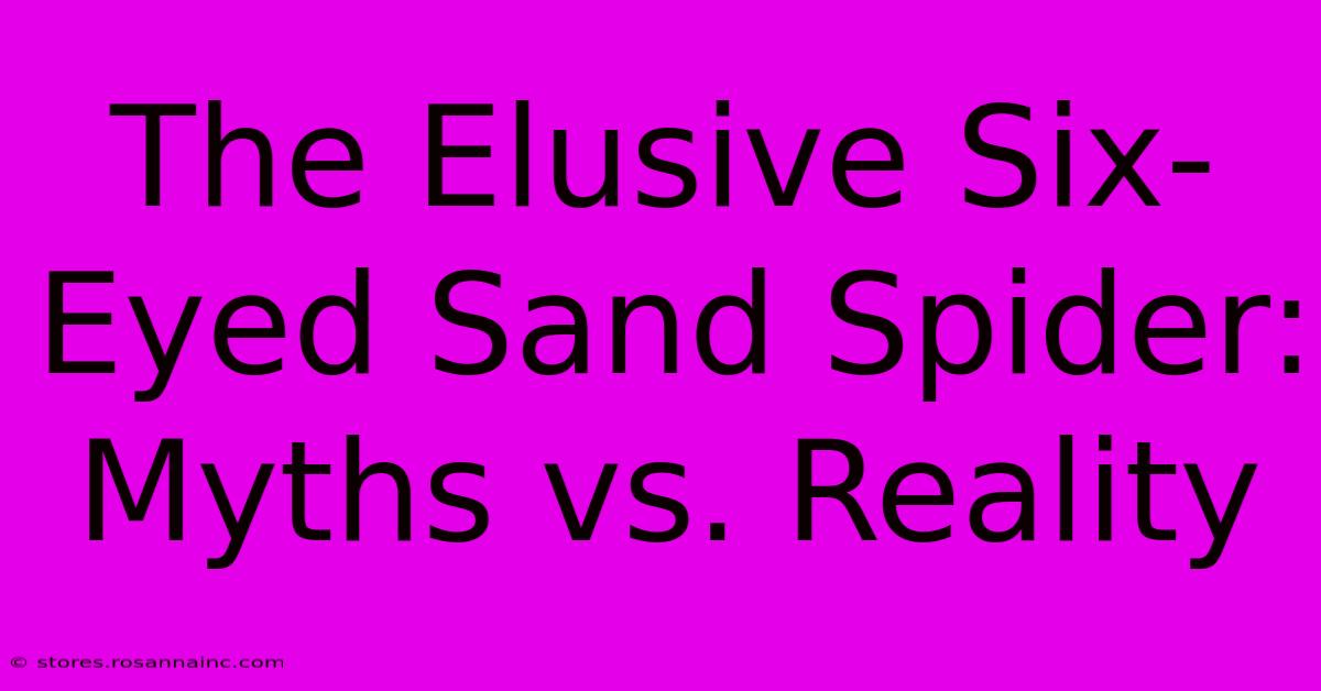 The Elusive Six-Eyed Sand Spider: Myths Vs. Reality