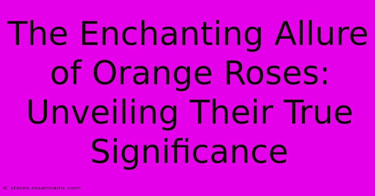 The Enchanting Allure Of Orange Roses: Unveiling Their True Significance