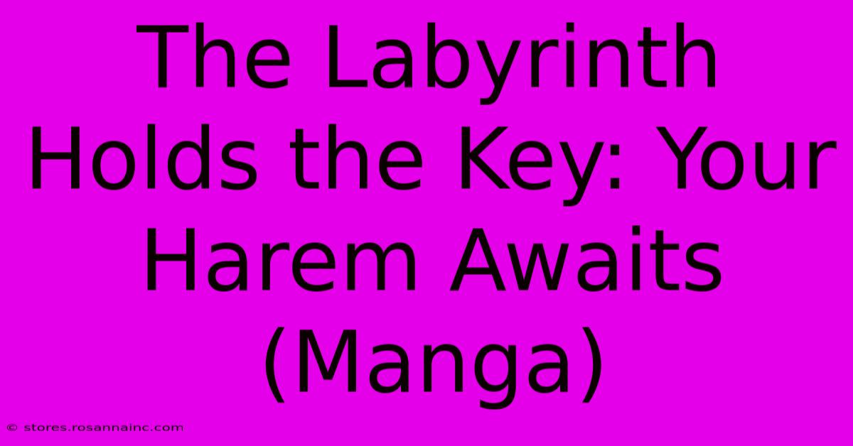 The Labyrinth Holds The Key: Your Harem Awaits (Manga)