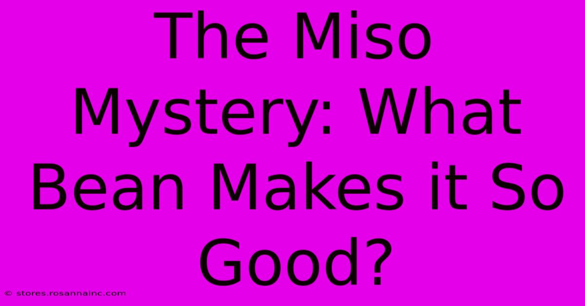 The Miso Mystery: What Bean Makes It So Good?