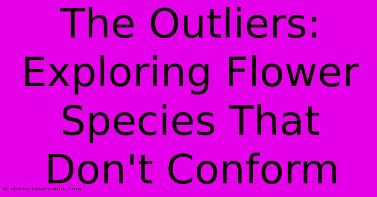 The Outliers: Exploring Flower Species That Don't Conform