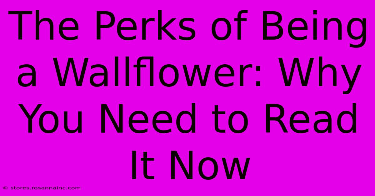 The Perks Of Being A Wallflower: Why You Need To Read It Now