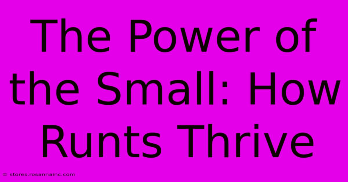 The Power Of The Small: How Runts Thrive