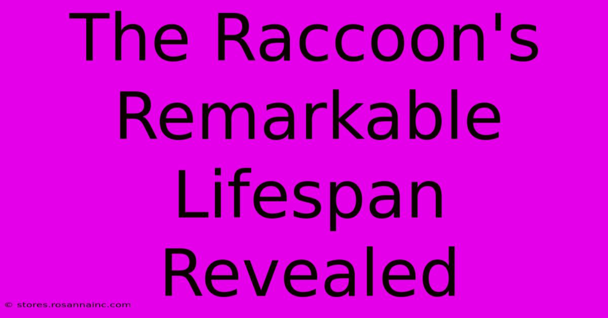 The Raccoon's Remarkable Lifespan Revealed