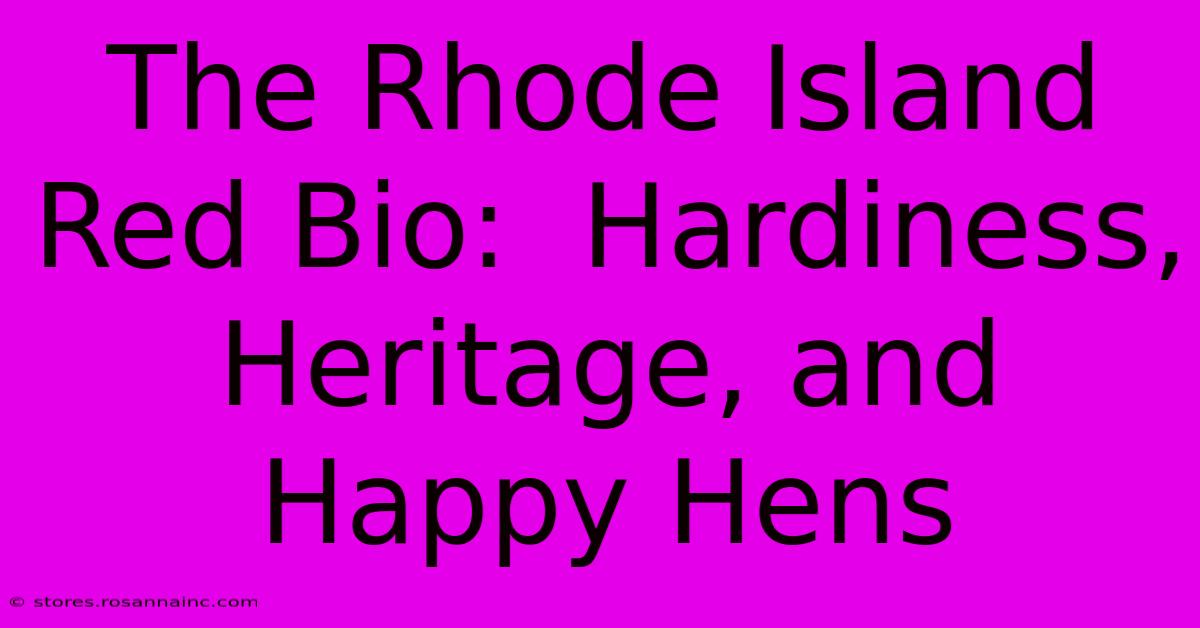 The Rhode Island Red Bio:  Hardiness, Heritage, And Happy Hens