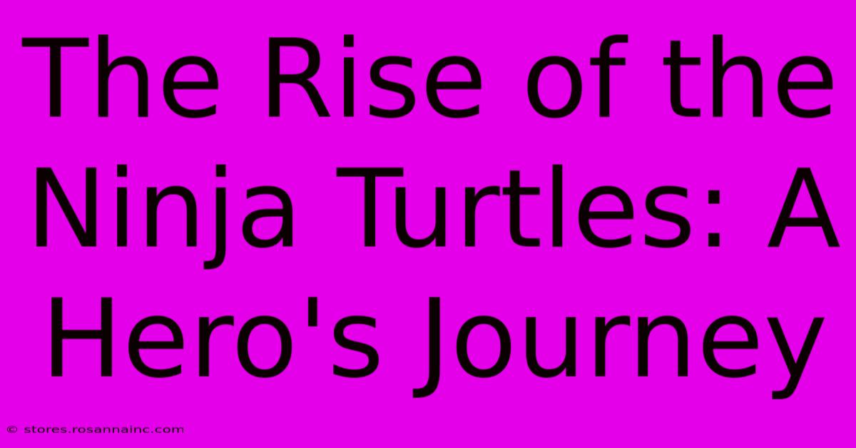 The Rise Of The Ninja Turtles: A Hero's Journey