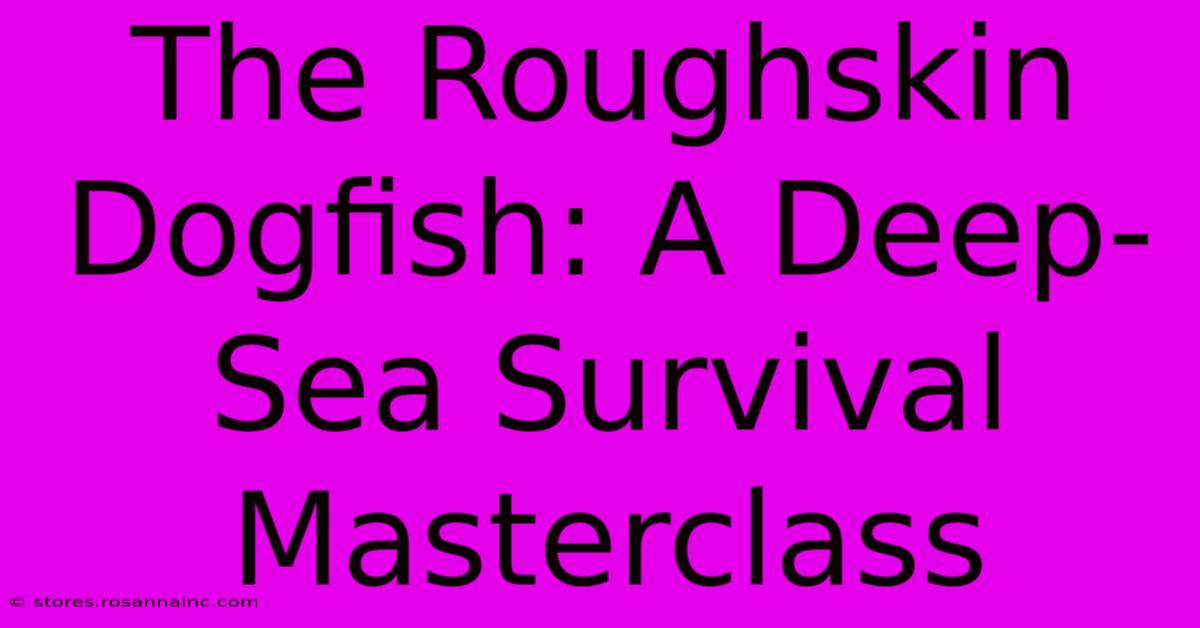 The Roughskin Dogfish: A Deep-Sea Survival Masterclass