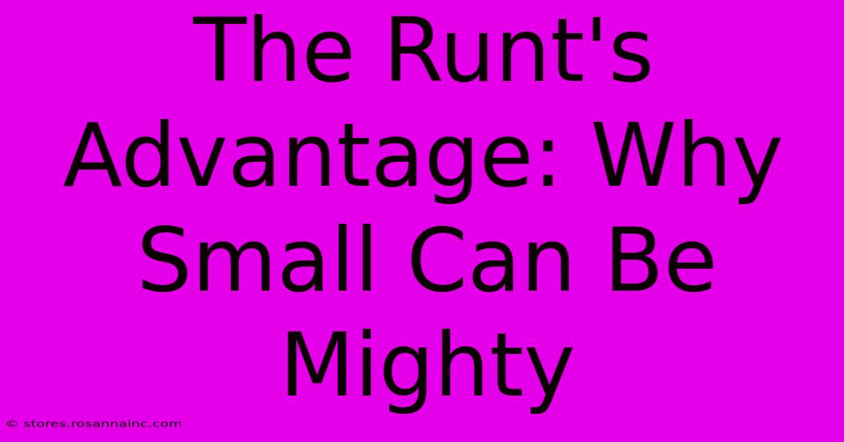 The Runt's Advantage: Why Small Can Be Mighty