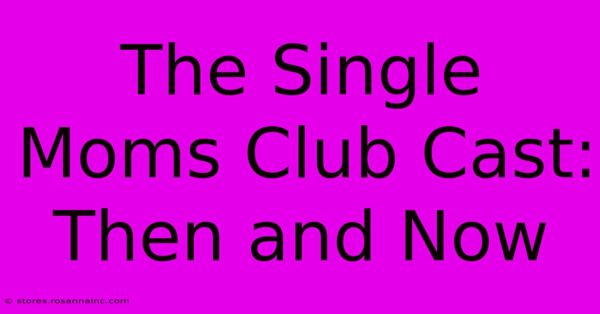 The Single Moms Club Cast: Then And Now