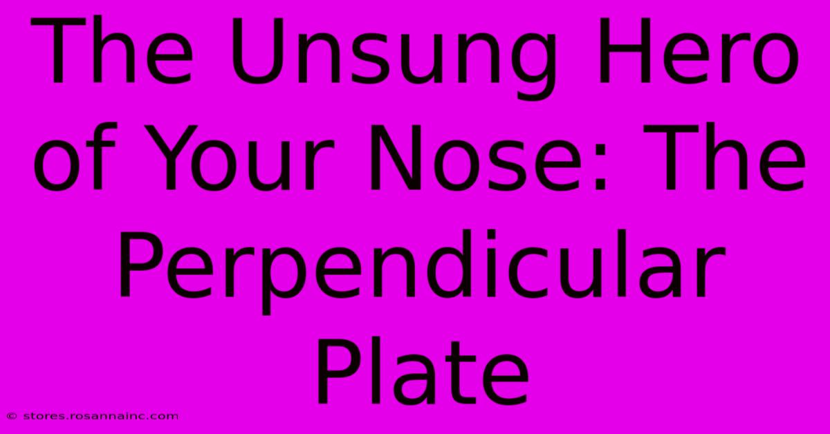 The Unsung Hero Of Your Nose: The Perpendicular Plate