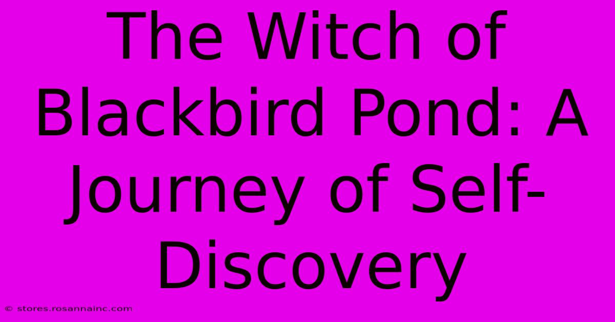 The Witch Of Blackbird Pond: A Journey Of Self-Discovery