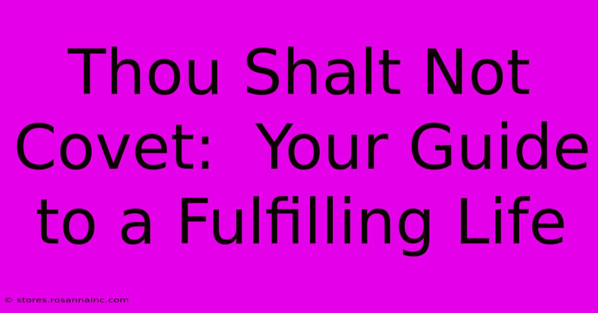 Thou Shalt Not Covet:  Your Guide To A Fulfilling Life