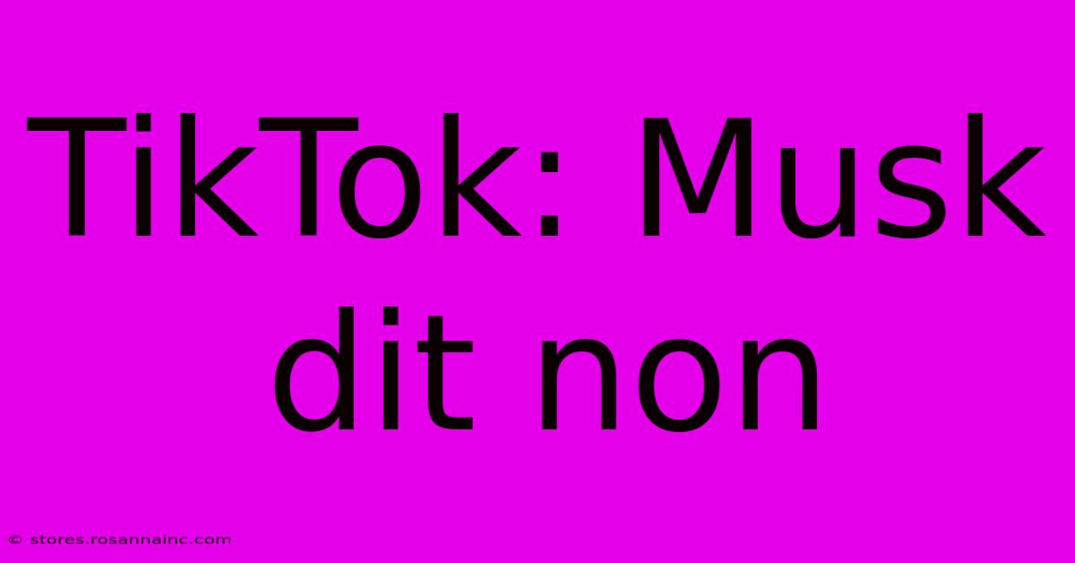 TikTok: Musk Dit Non