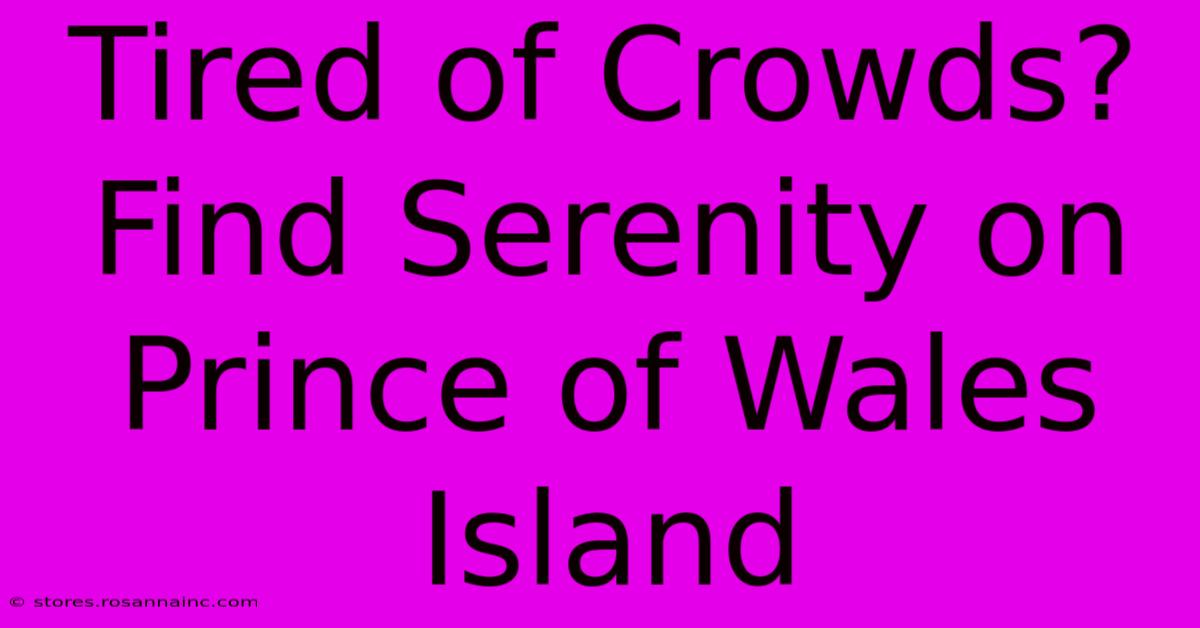 Tired Of Crowds? Find Serenity On Prince Of Wales Island