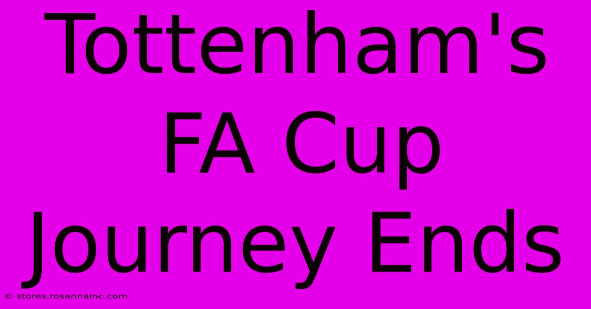 Tottenham's FA Cup Journey Ends 