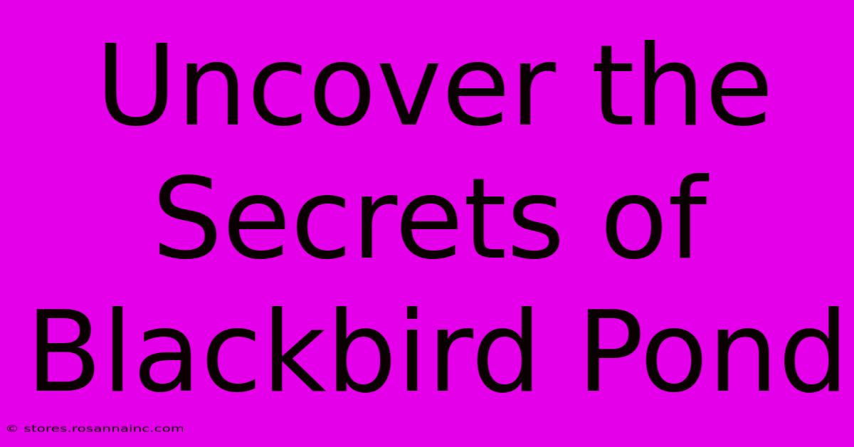 Uncover The Secrets Of Blackbird Pond