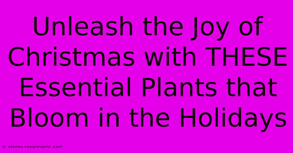 Unleash The Joy Of Christmas With THESE Essential Plants That Bloom In The Holidays