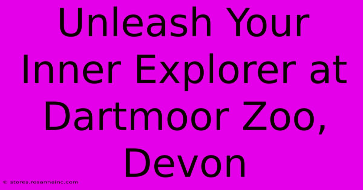 Unleash Your Inner Explorer At Dartmoor Zoo, Devon