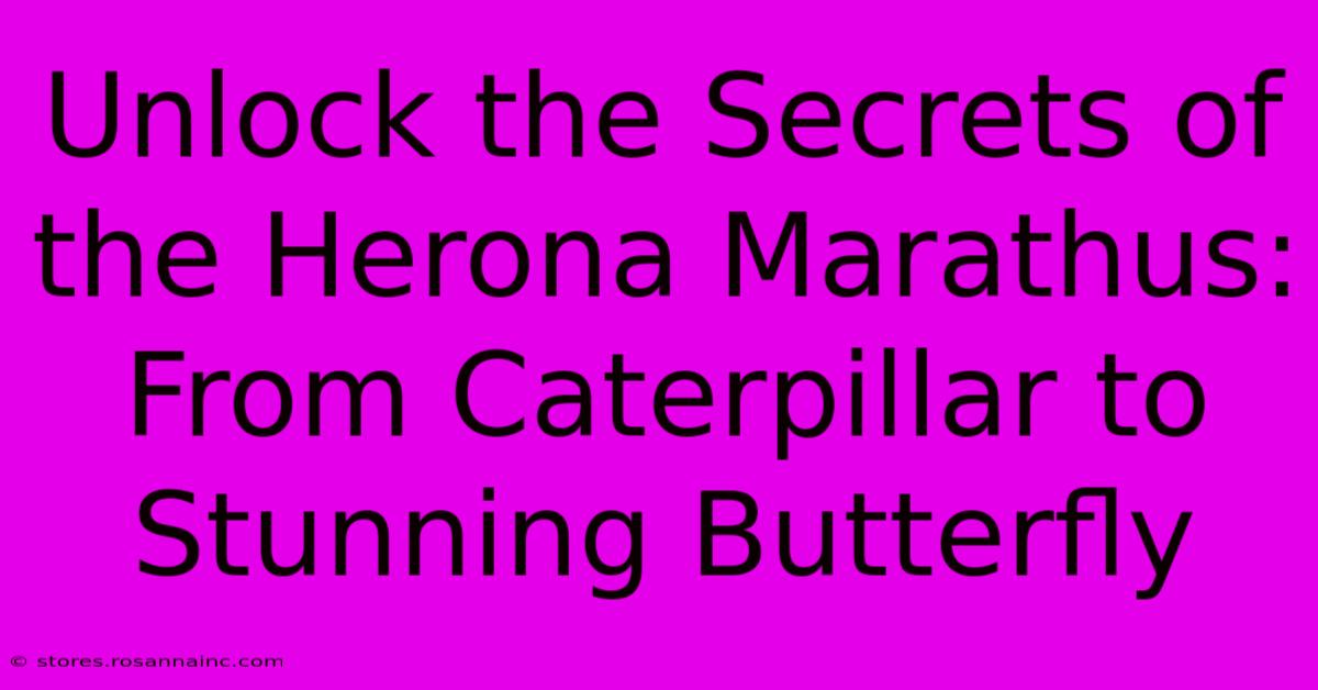 Unlock The Secrets Of The Herona Marathus: From Caterpillar To Stunning Butterfly