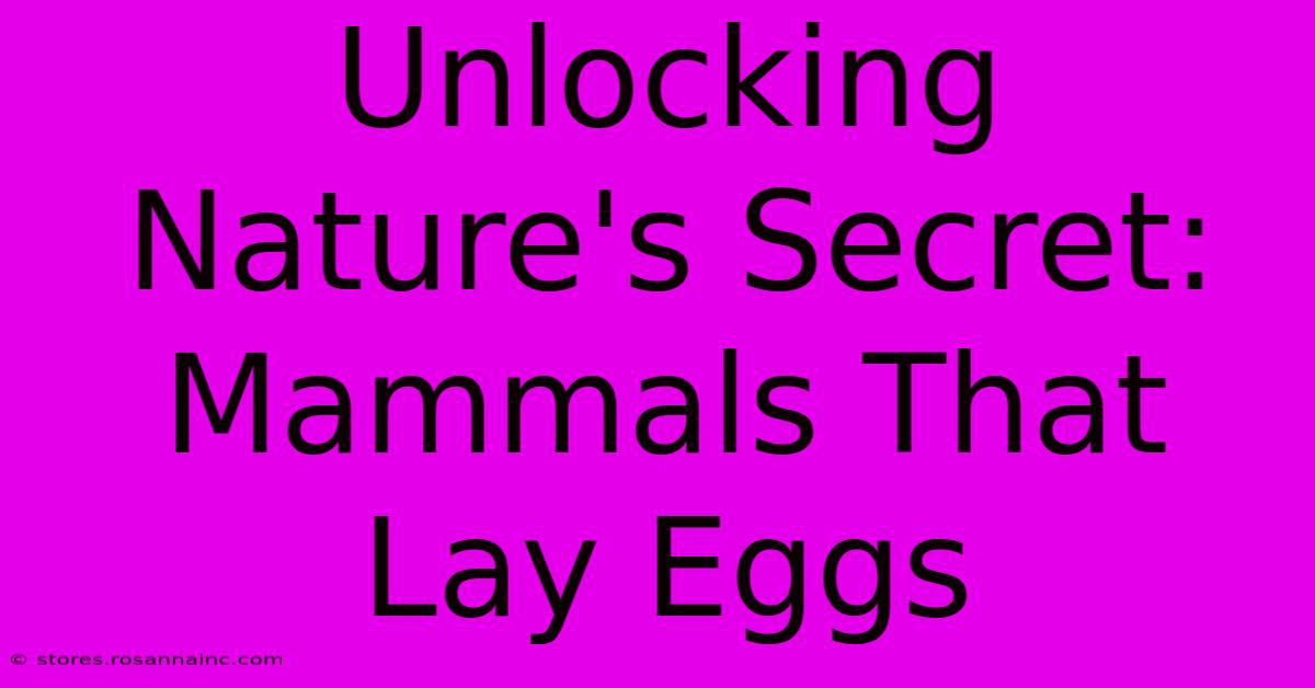 Unlocking Nature's Secret: Mammals That Lay Eggs