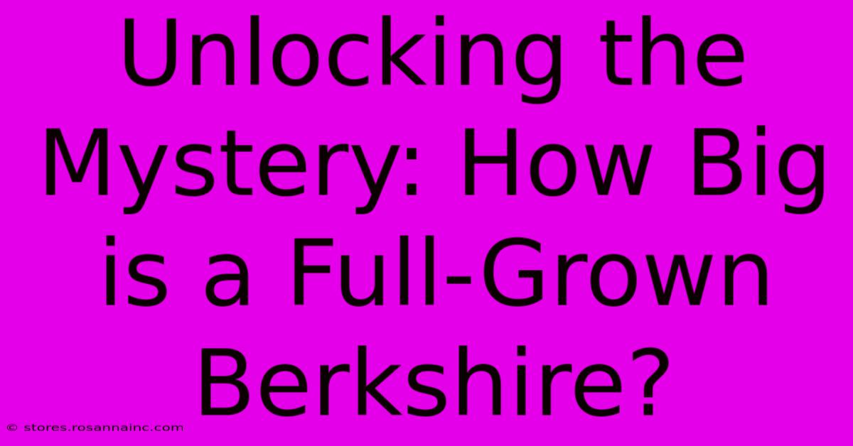 Unlocking The Mystery: How Big Is A Full-Grown Berkshire?