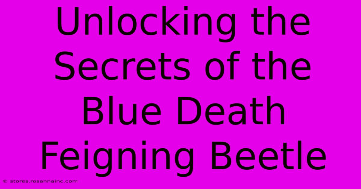 Unlocking The Secrets Of The Blue Death Feigning Beetle