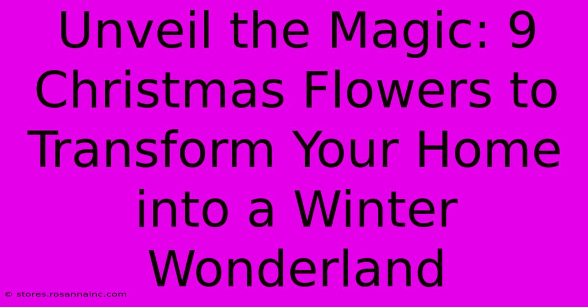 Unveil The Magic: 9 Christmas Flowers To Transform Your Home Into A Winter Wonderland