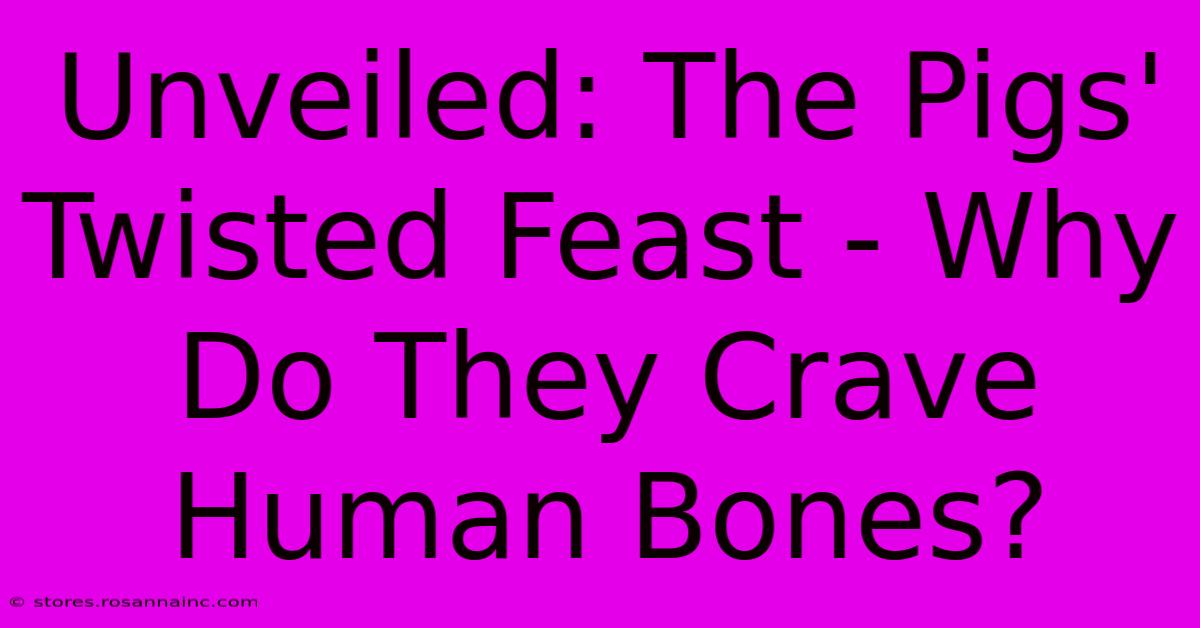 Unveiled: The Pigs' Twisted Feast - Why Do They Crave Human Bones?