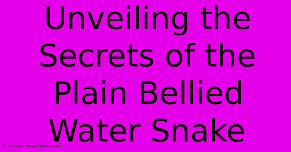 Unveiling The Secrets Of The Plain Bellied Water Snake