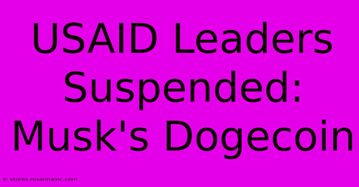 USAID Leaders Suspended: Musk's Dogecoin