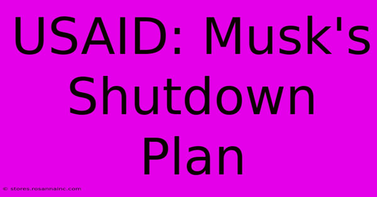 USAID: Musk's Shutdown Plan