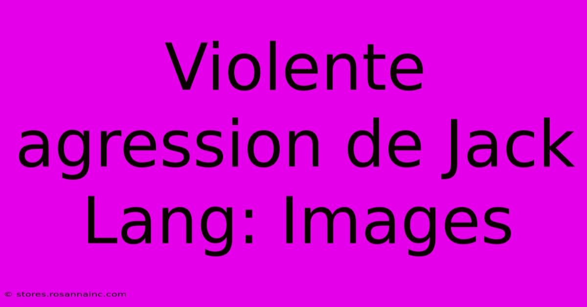 Violente Agression De Jack Lang: Images