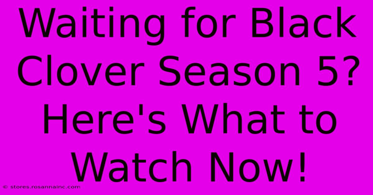 Waiting For Black Clover Season 5? Here's What To Watch Now!