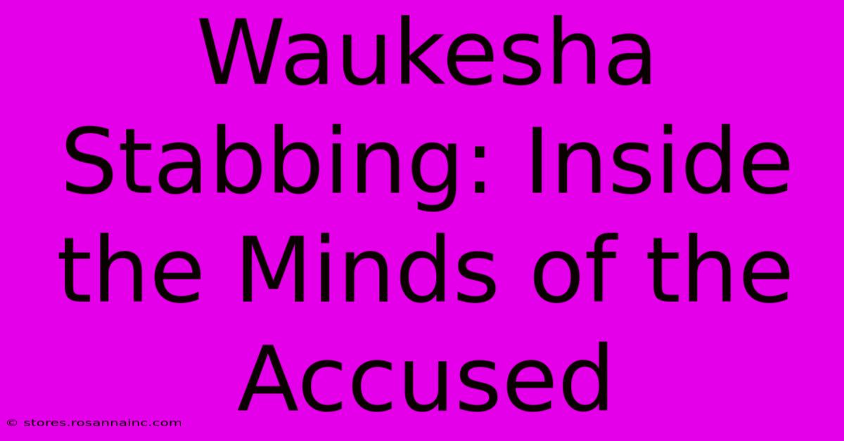 Waukesha Stabbing: Inside The Minds Of The Accused