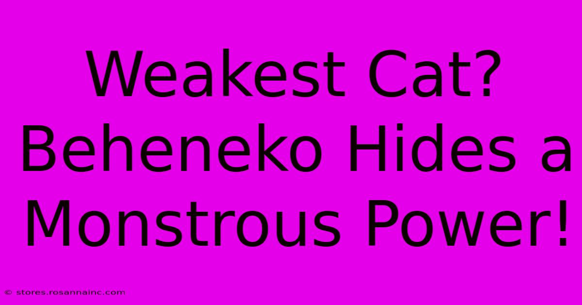 Weakest Cat? Beheneko Hides A Monstrous Power!