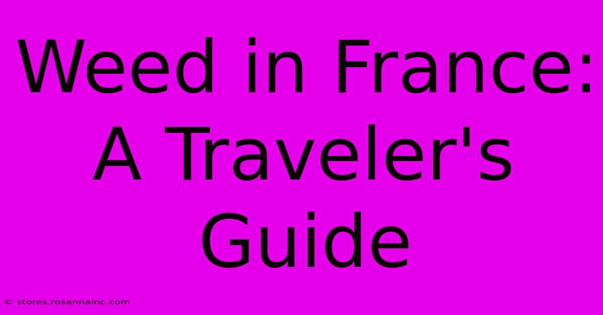 Weed In France: A Traveler's Guide