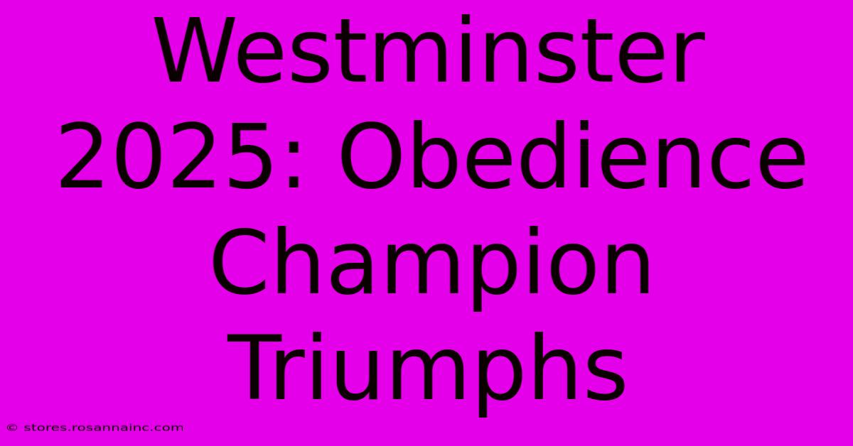 Westminster 2025: Obedience Champion Triumphs