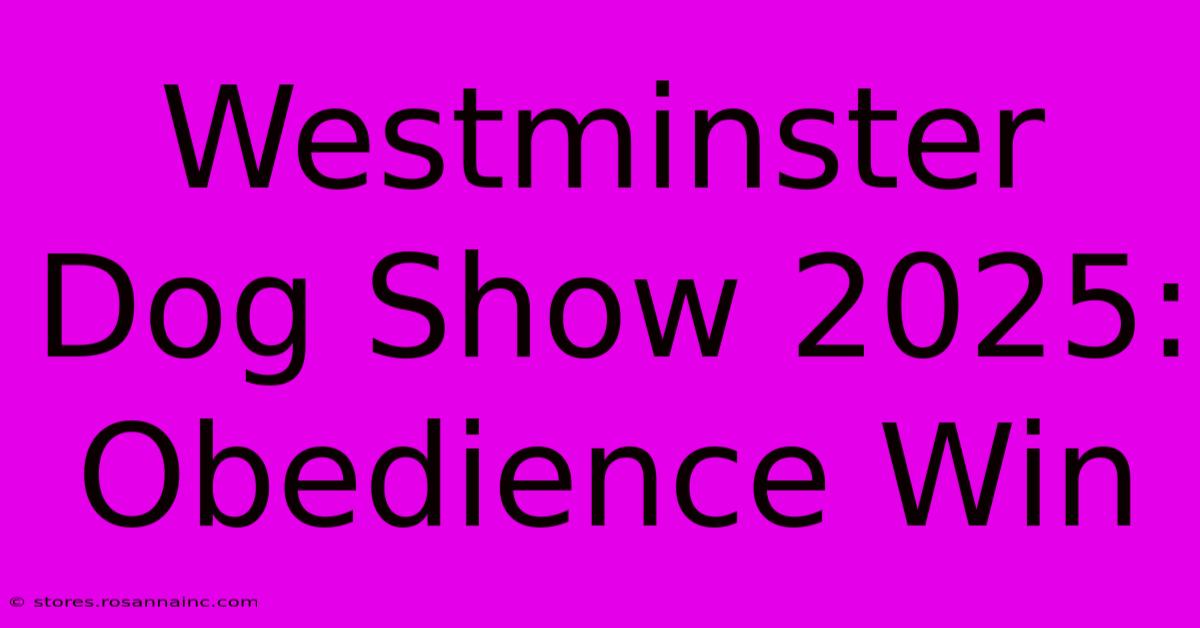 Westminster Dog Show 2025: Obedience Win