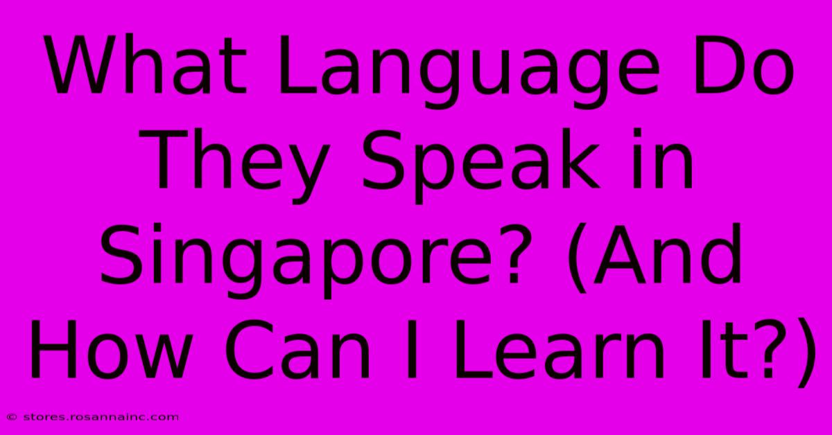 What Language Do They Speak In Singapore? (And How Can I Learn It?)