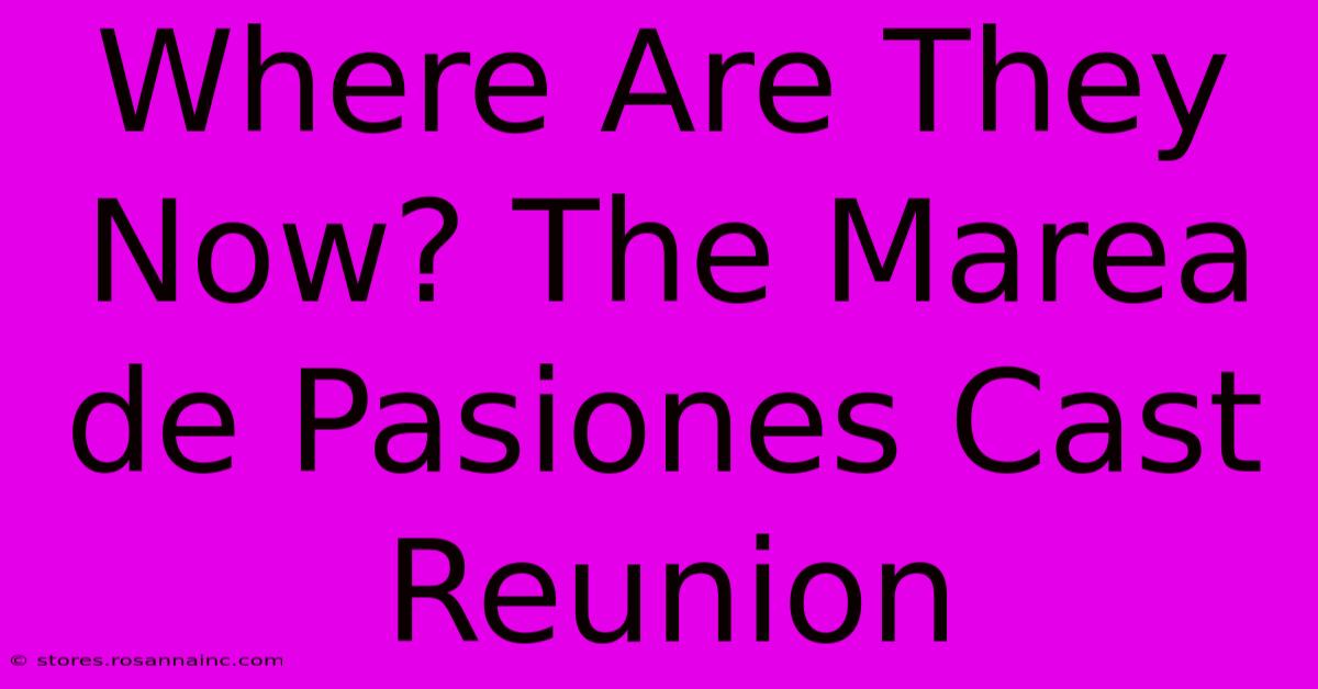 Where Are They Now? The Marea De Pasiones Cast Reunion