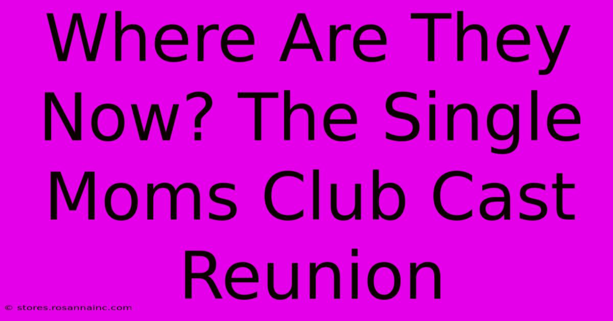 Where Are They Now? The Single Moms Club Cast Reunion