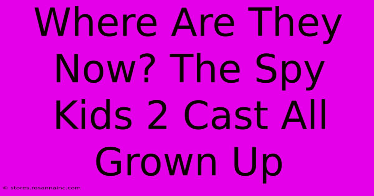 Where Are They Now? The Spy Kids 2 Cast All Grown Up