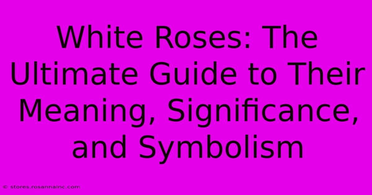 White Roses: The Ultimate Guide To Their Meaning, Significance, And Symbolism