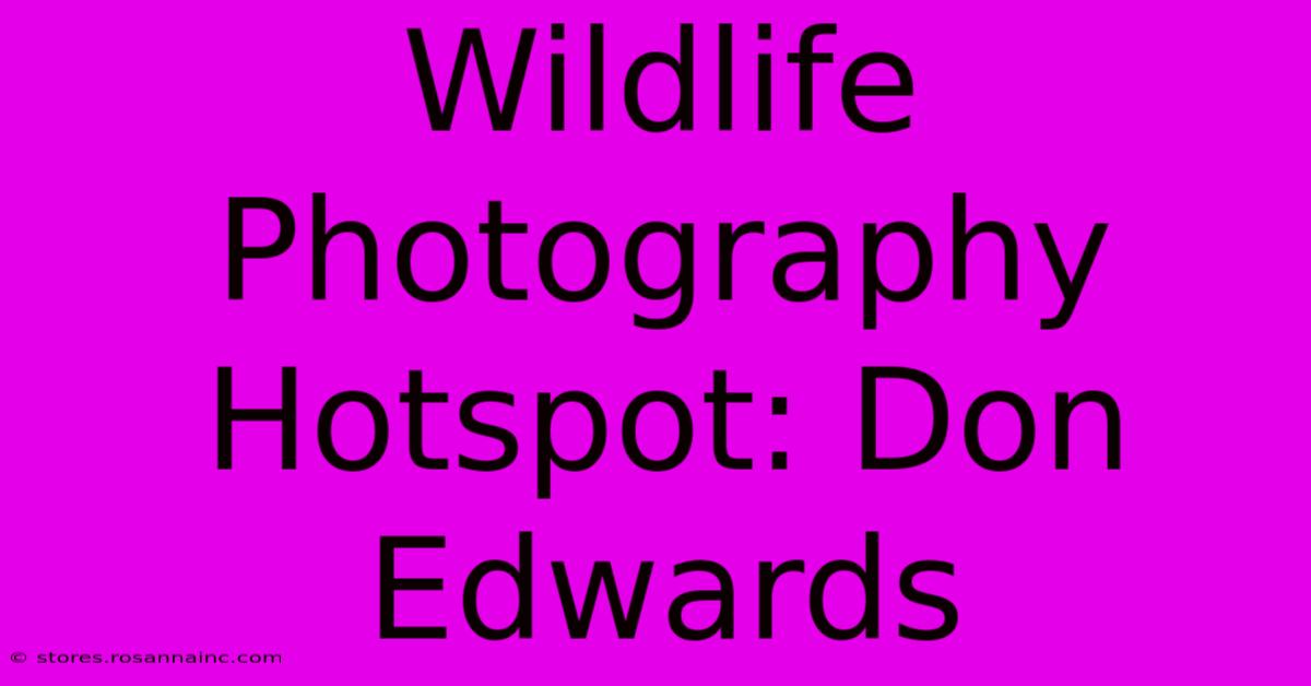 Wildlife Photography Hotspot: Don Edwards