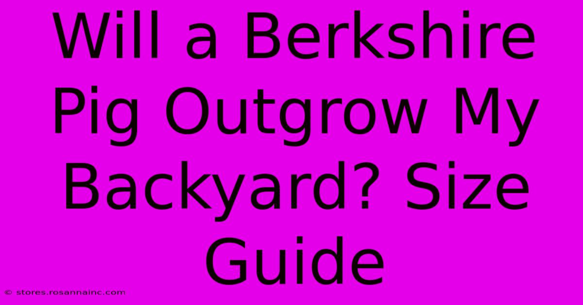 Will A Berkshire Pig Outgrow My Backyard? Size Guide