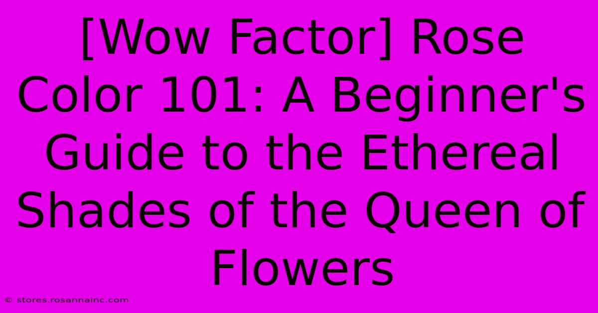 [Wow Factor] Rose Color 101: A Beginner's Guide To The Ethereal Shades Of The Queen Of Flowers