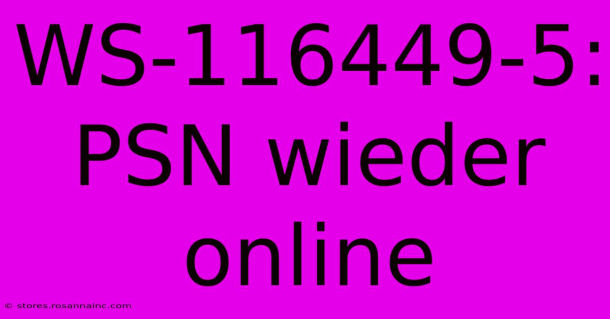 WS-116449-5: PSN Wieder Online