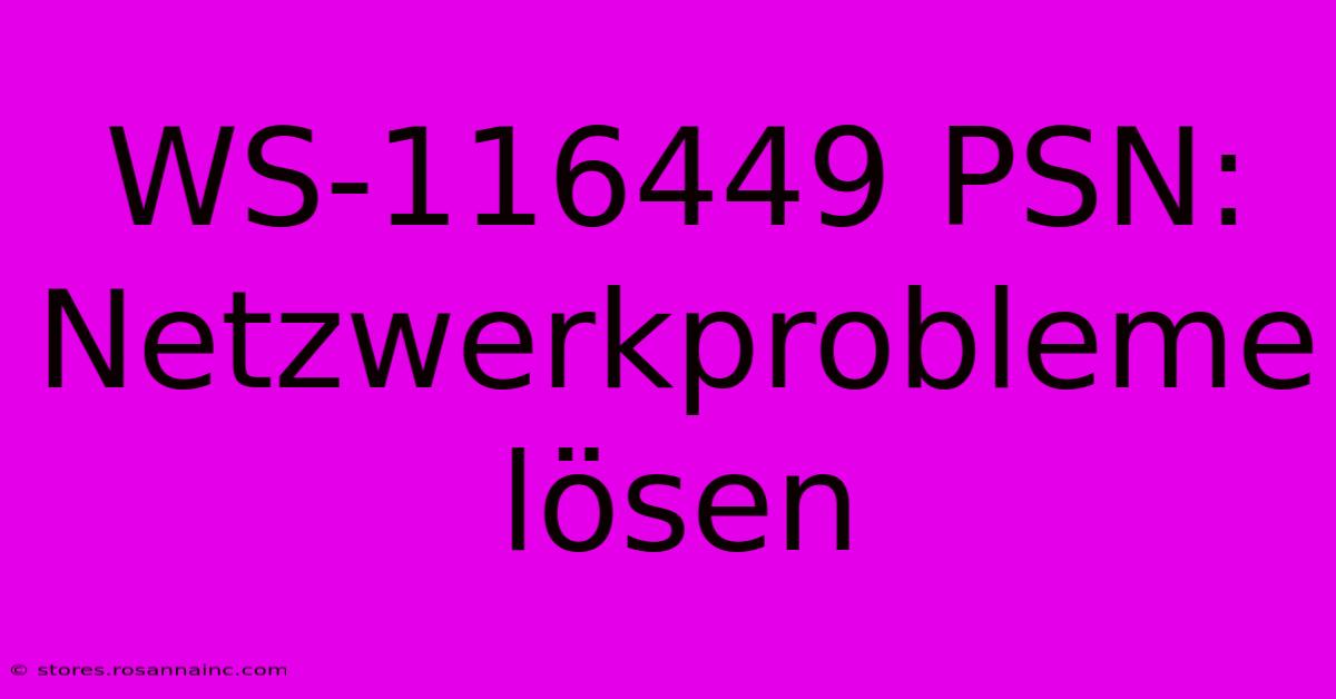 WS-116449 PSN: Netzwerkprobleme Lösen